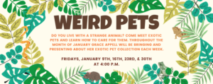 Weird Pets